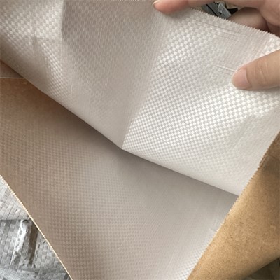 Bossa laminada de paper kraft